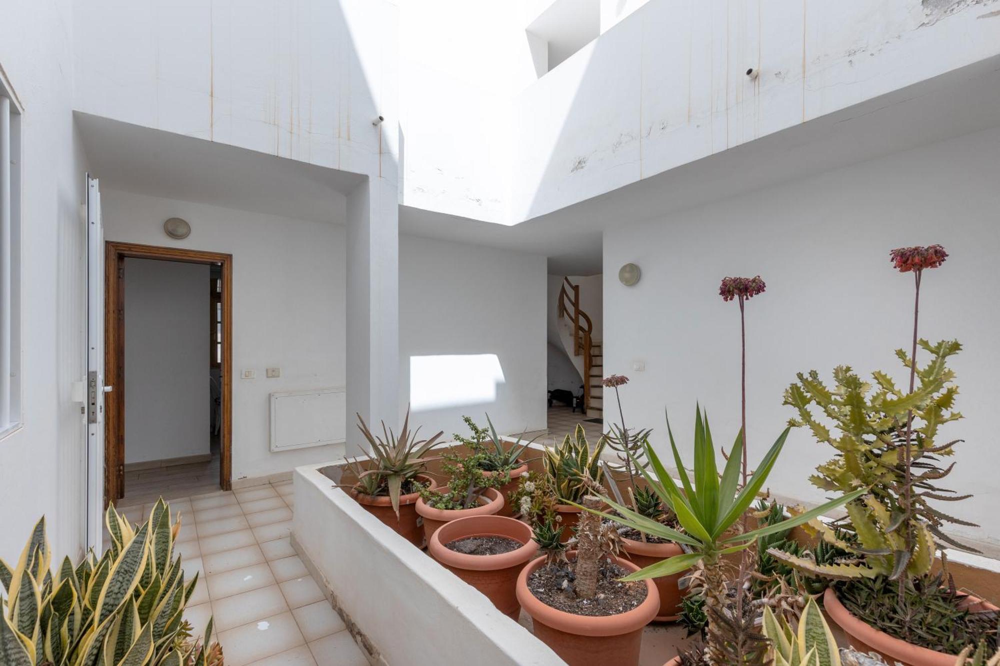 Central Bright Studio Corralejo Dış mekan fotoğraf